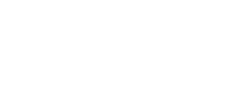 DAVID - screendesign – content & e-commerce